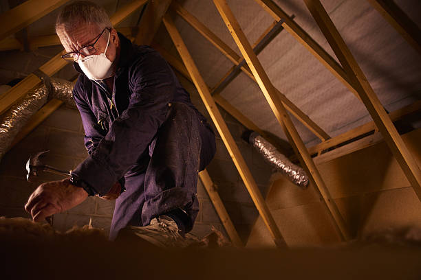 Best Insulation for Specific Applications in The Homesteads, TX